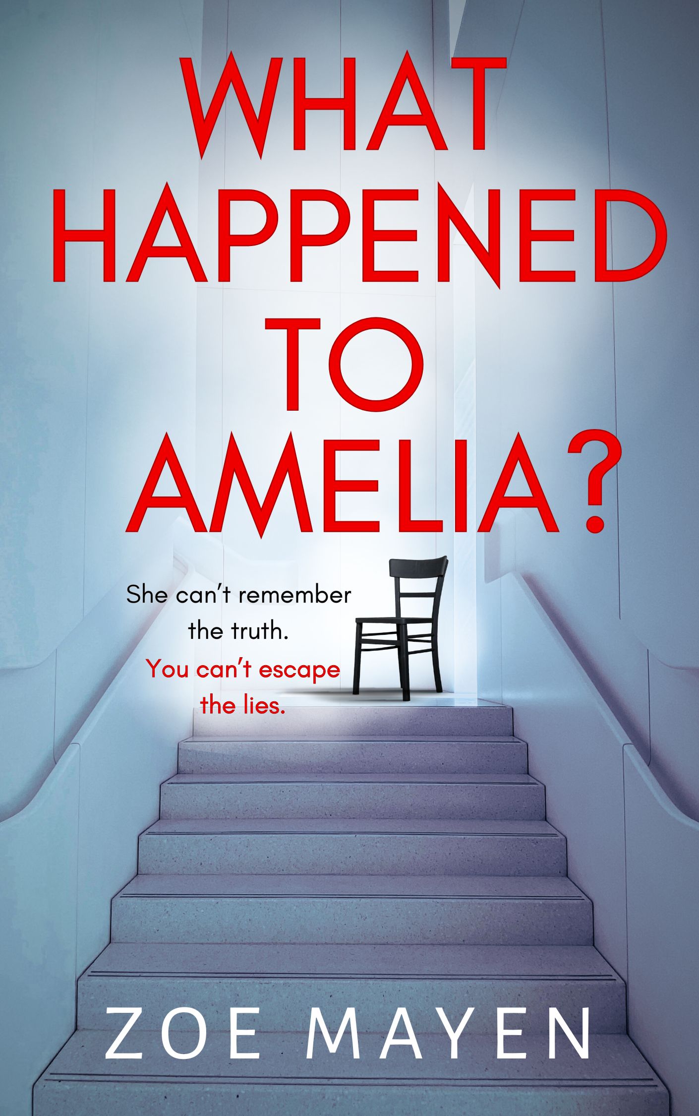 Cover of What Happened to Amelia?